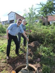 Bild: Mit vereinten Kräften wird Baum in Position gebracht