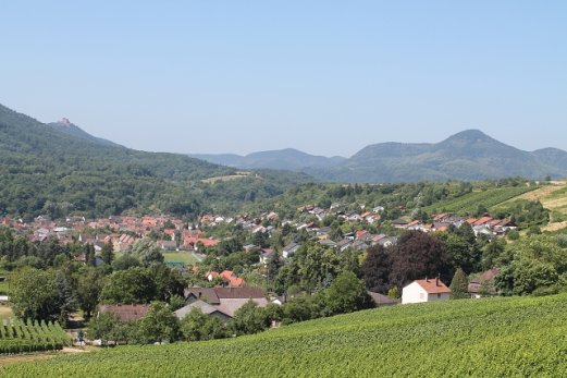 Bild: Grandioser Blick auf Albersweiler und den Haardtrand.
