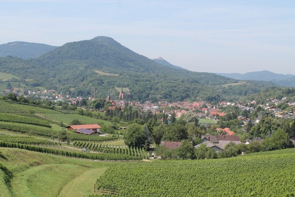 Bild: Herrlicher Ausblick auf Albersweiler und das Queichtal.