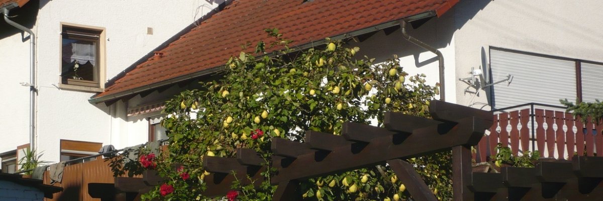 Bild: Waldrohrbach
