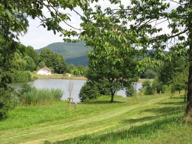 Bild: Ansicht vom Silzer See