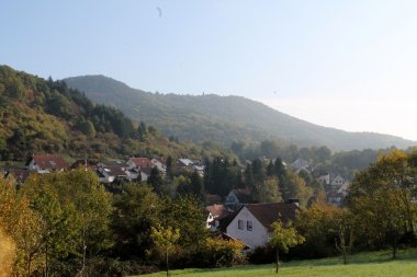 Bild: Ortsansicht von Waldhambach