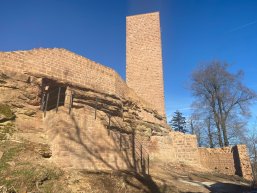 Bild: Burg Scharfenberg (Münz)
