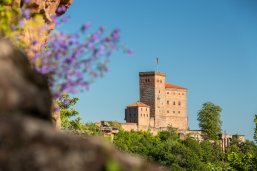Bild: Burg Trifels